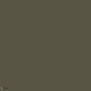 Little Greene Invisible Green 56 paint