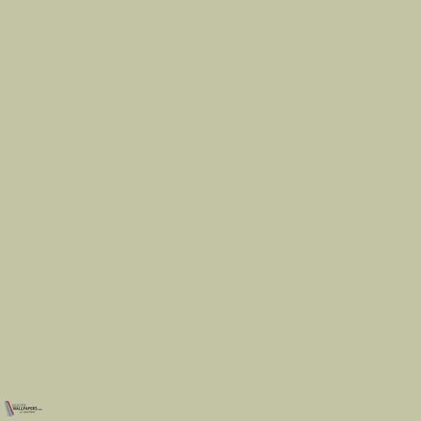 Little Greene Kitchen Green 85 Farbe Tapete von Little Greene