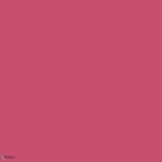 Little Greene Leather 191 paint
