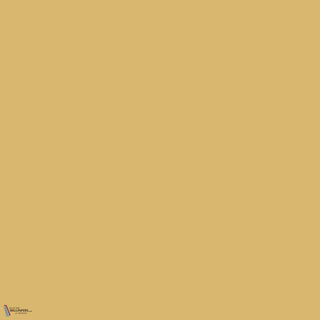 Little Greene Light Gold 53 paint