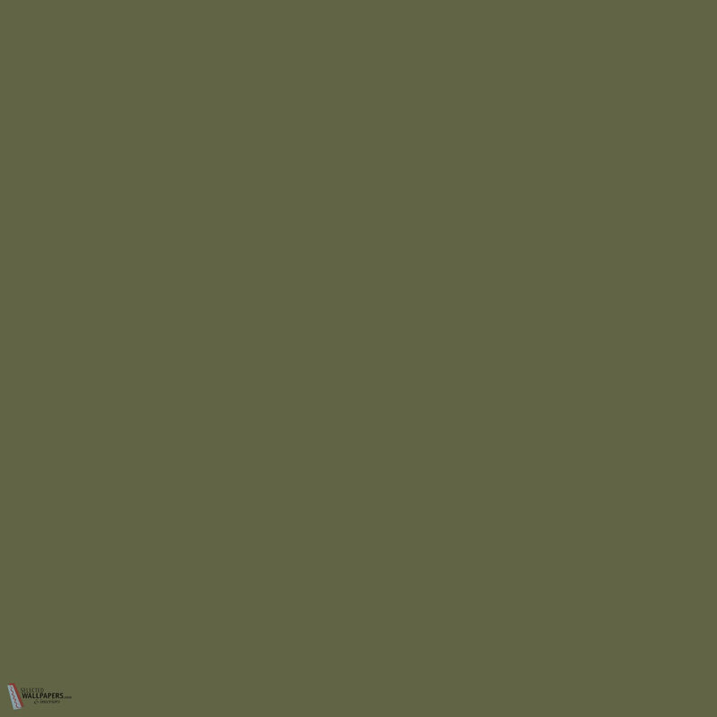 Little Greene Olive Colour 72 Peinture papier peint de Little Greene