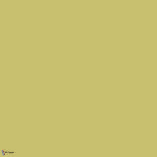 Little Greene Pale Lime 70 paint