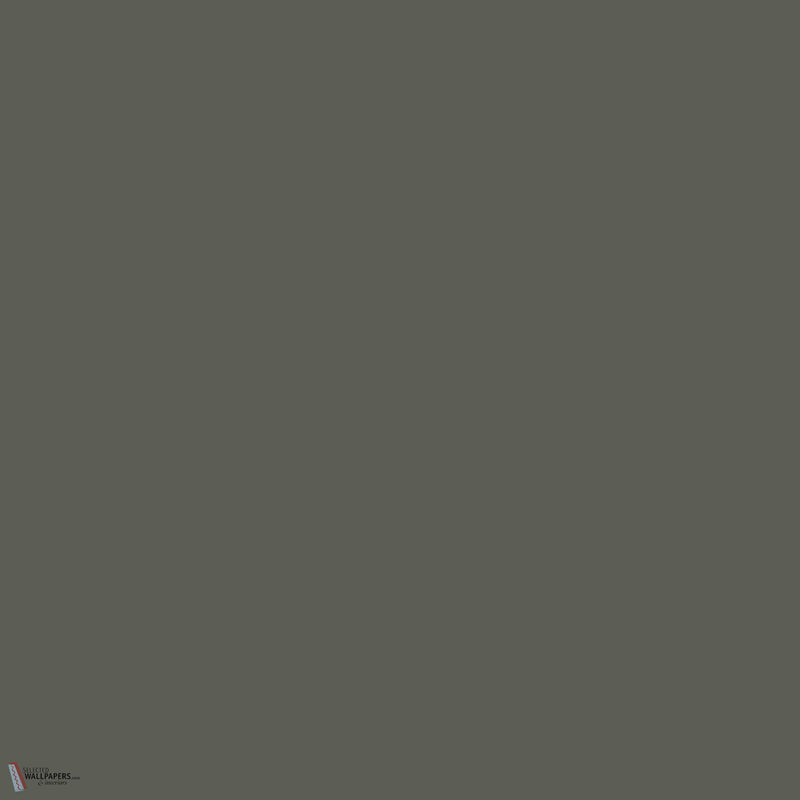 Little Greene Pompeian Ash 293 Farbe Tapete von Little Greene