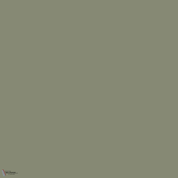 Little Greene Sage Green 80 paint wallpaper by Little Greene