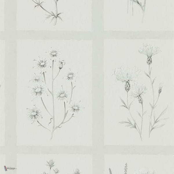 Little Thistles wallpaper in Pewter van Sanderson