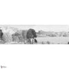Little Tuscany behang in Grey Tones van Iksel