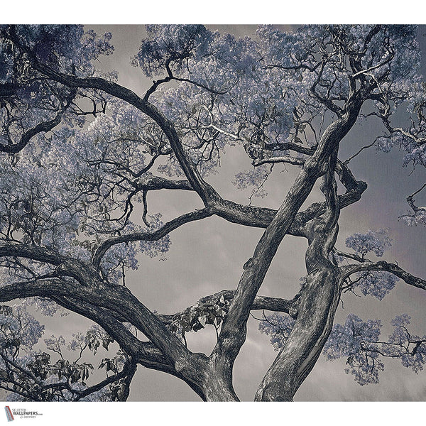 Arborescent Labyrinth wallpaper by LondonArt — full design