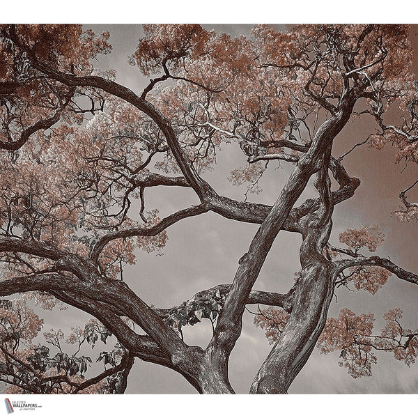 Arborescent Labyrinth wallpaper by LondonArt — full design