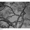 Arborescent Labyrinth wallpaper by LondonArt — full design