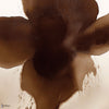Eclipse Bloom wallpaper by LondonArt — colour swatch