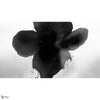 Eclipse Bloom wallpaper by LondonArt — full design
