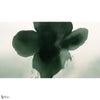 Eclipse Bloom wallpaper by LondonArt — full design