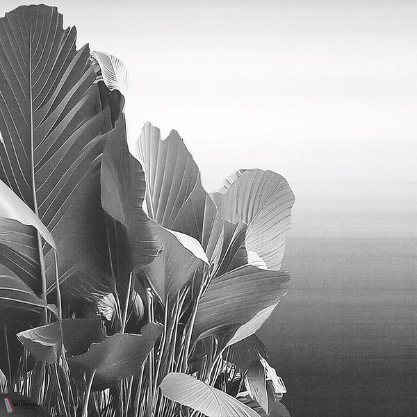 Etherea wallpaper by LondonArt — colour swatch
