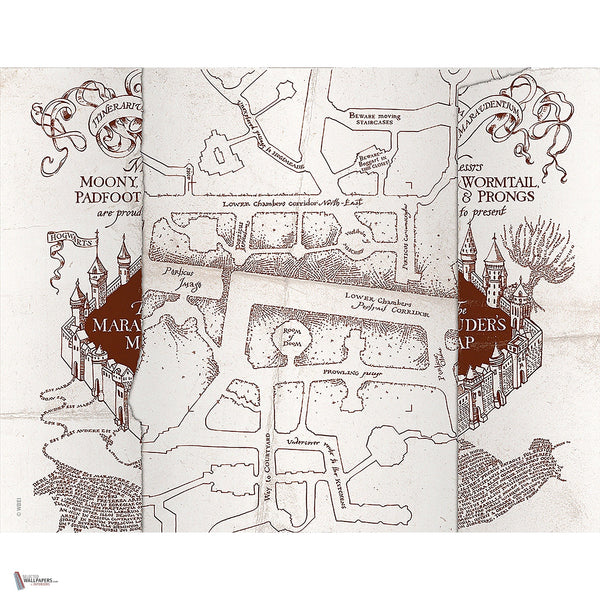 Harry Potter 312 behang van LondonArt — volledig ontwerp