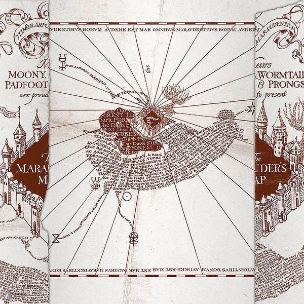 Harry Potter 312 behang van LondonArt — kleurstaal