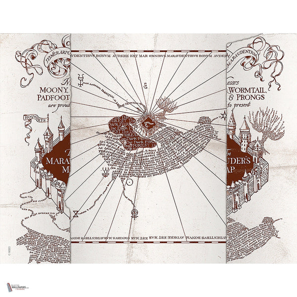 Harry Potter 312 behang van LondonArt — volledig ontwerp