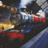 Harry Potter 315 behang van LondonArt — kleurstaal