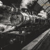 Harry Potter 315 behang van LondonArt — kleurstaal