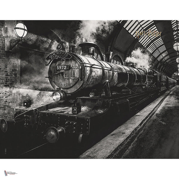 Harry Potter 315 behang van LondonArt — volledig ontwerp