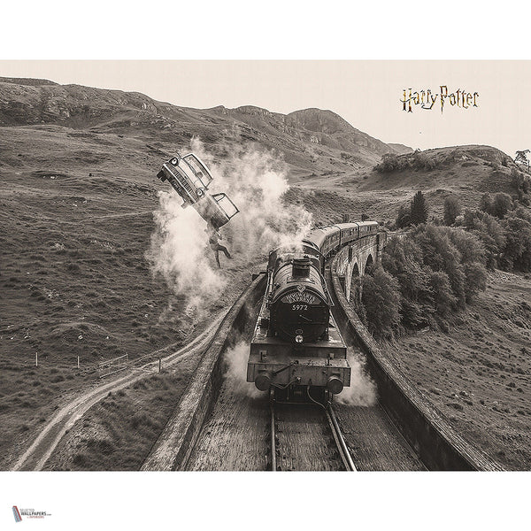 Harry Potter 316 behang van LondonArt — volledig ontwerp