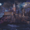 Harry Potter 317 behang van LondonArt — kleurstaal