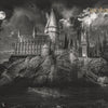 Harry Potter 317 behang van LondonArt — kleurstaal