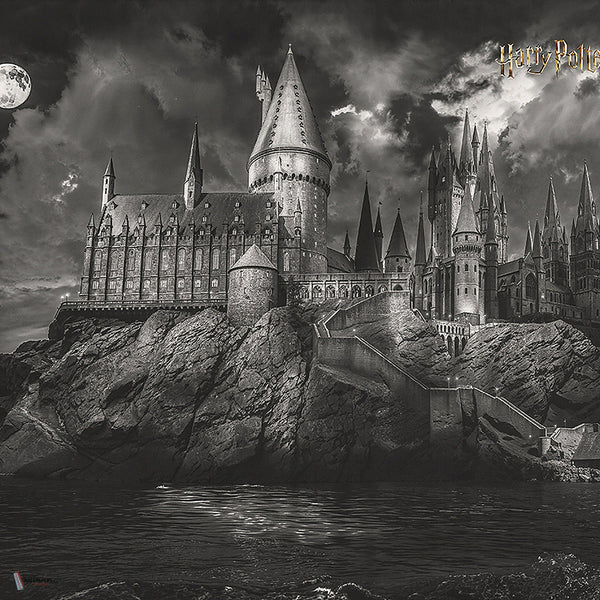 Harry Potter 317 behang van LondonArt — kleurstaal