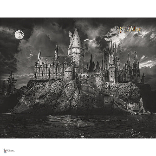 Harry Potter 317 behang van LondonArt — volledig ontwerp
