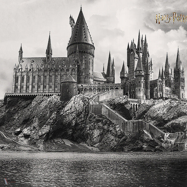 Harry Potter 318 behang van LondonArt — kleurstaal