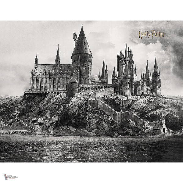 Harry Potter 318 behang van LondonArt — volledig ontwerp