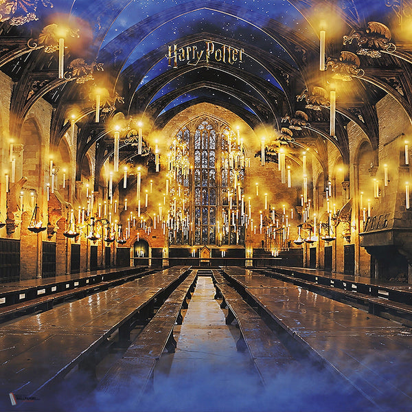 Harry Potter 320 behang van LondonArt — kleurstaal