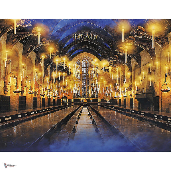 Harry Potter 320 behang van LondonArt — volledig ontwerp