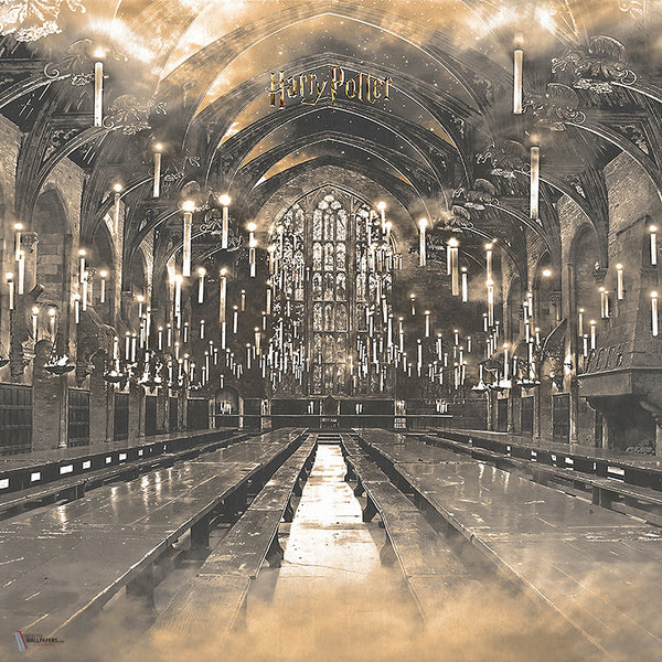 Harry Potter 320 behang van LondonArt — kleurstaal