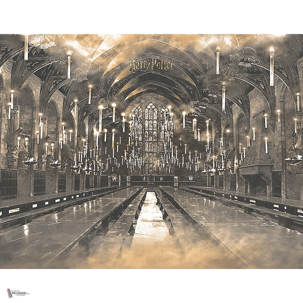 Harry Potter 320 behang van LondonArt — volledig ontwerp