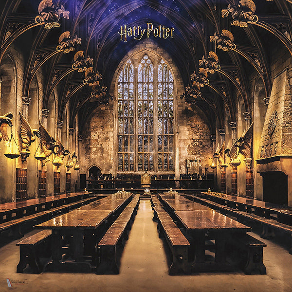 Harry Potter 320 behang van LondonArt — kleurstaal