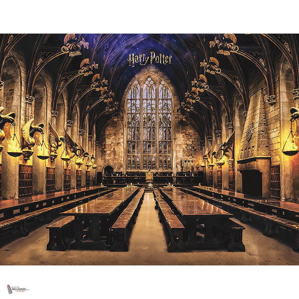 Harry Potter 320 behang van LondonArt — volledig ontwerp