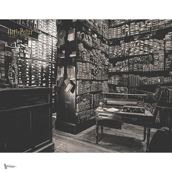 Harry Potter 322 behang van LondonArt — volledig ontwerp