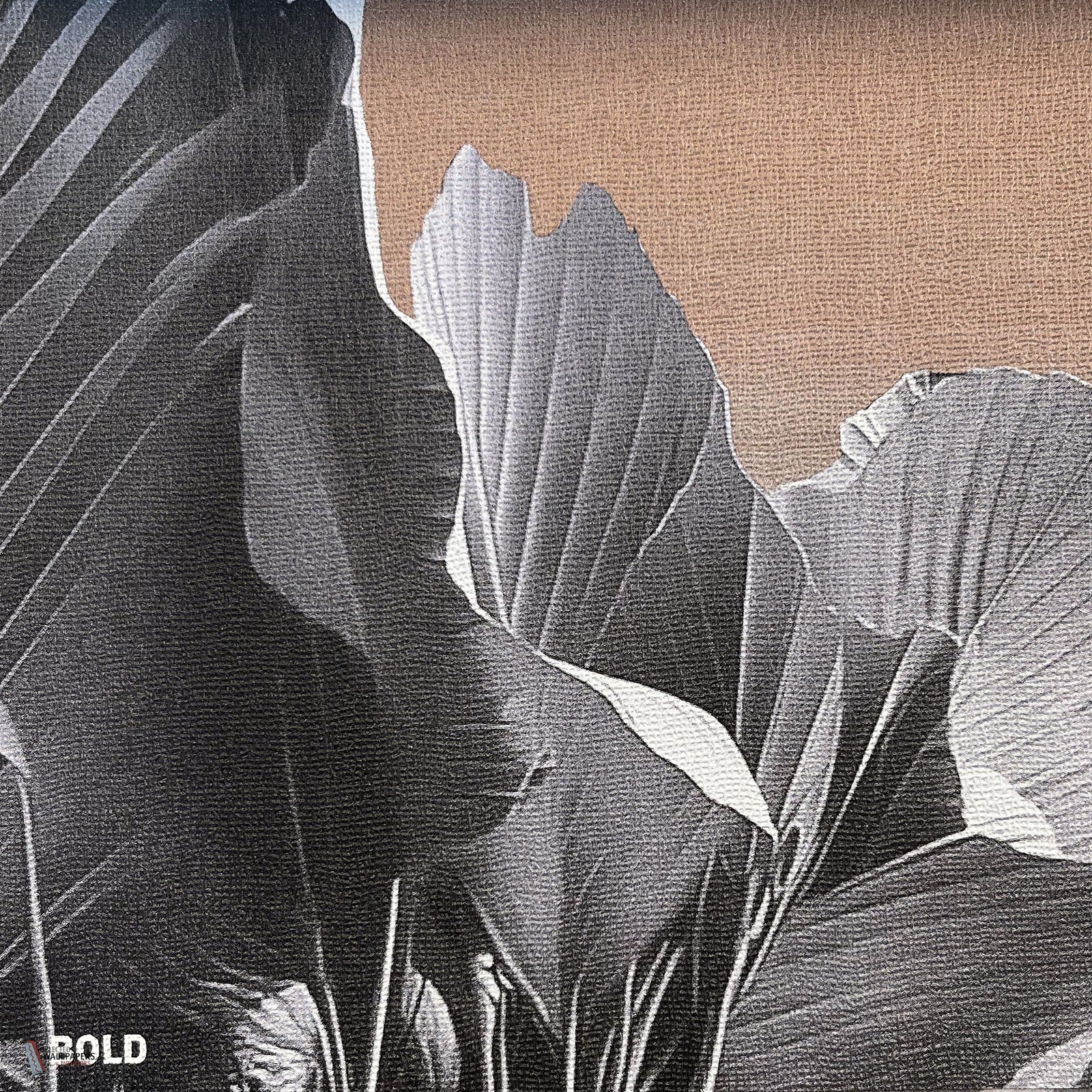 LondonArt Bold-S260
