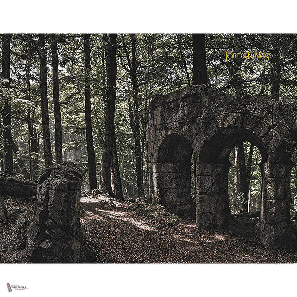 Lord Of The Rings 410 behang van LondonArt — volledig ontwerp