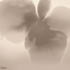 Petal Glow wallpaper by LondonArt — colour swatch