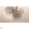 Petal Glow wallpaper by LondonArt — full design