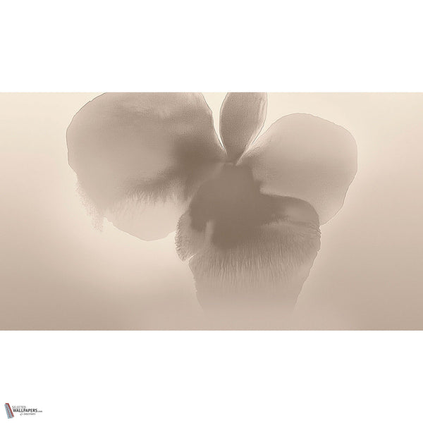 Petal Glow wallpaper by LondonArt — full design