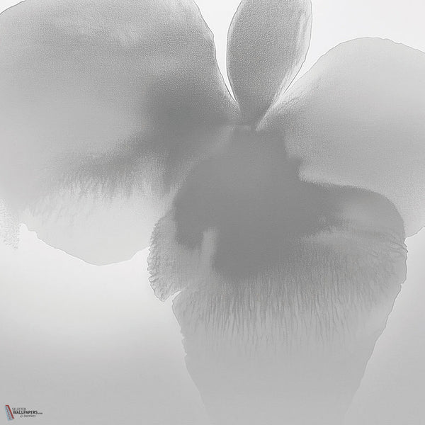 Petal Glow wallpaper by LondonArt — colour swatch