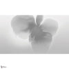 Petal Glow wallpaper by LondonArt — full design