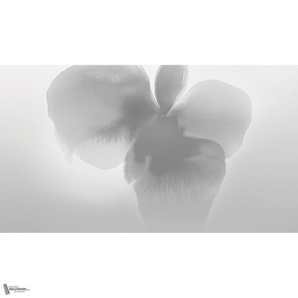 Petal Glow wallpaper by LondonArt — full design