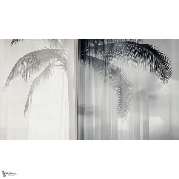 Soft Meridian wallpaper by LondonArt — full design