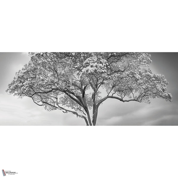 The Silent Witness wallpaper by LondonArt — full design