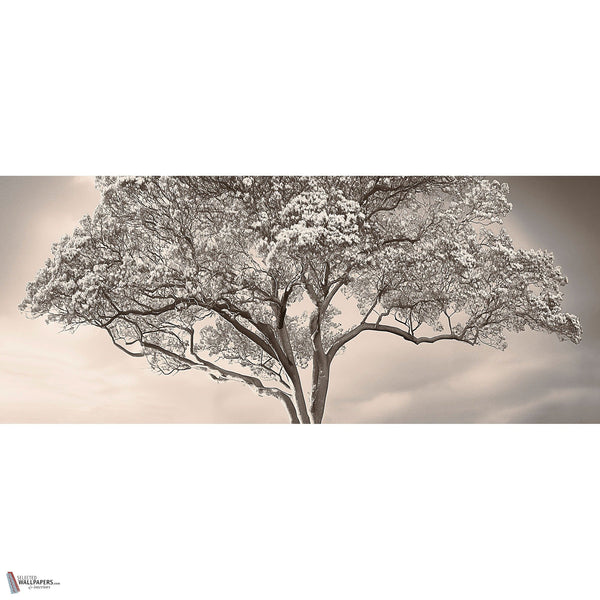 The Silent Witness wallpaper by LondonArt — full design