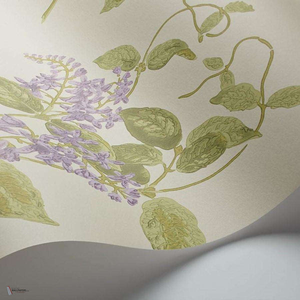 Madras Violet wallpaper van Cole & Son