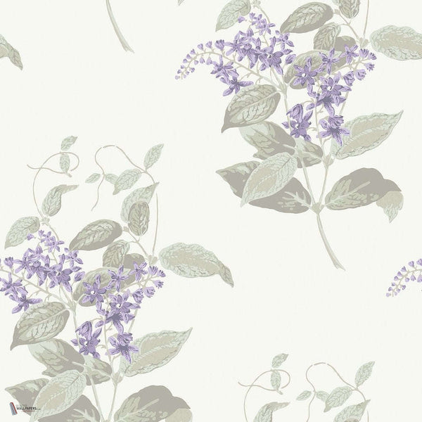 Madras Violet wallpaper in Lilac & Stone van Cole & Son